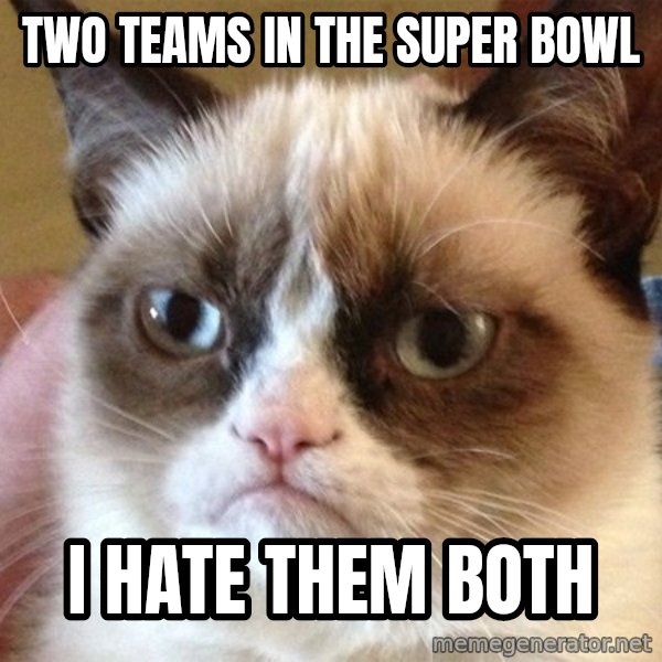 Angry Cat Meme meme: Two teams in the super bowl / i hate them both