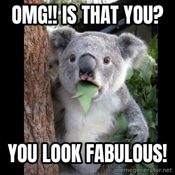 Koala can't believe it meme: OMG!! Is that you? / You Look Fabulous!