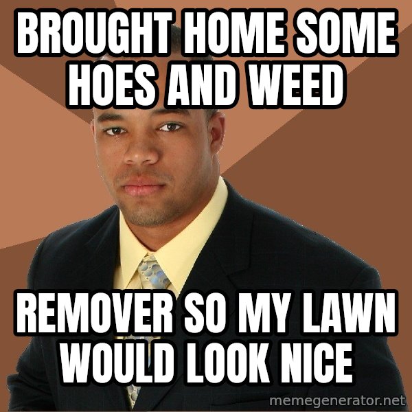 Successful Black Man meme: Brought home some hoes and weed / remover so my lawn would look nice