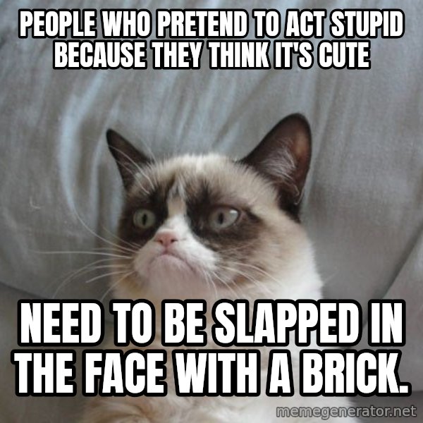 Grumpy cat good meme: People who pretend to act stupid because they think it's cute / Need to be slapped in the face with a brick.