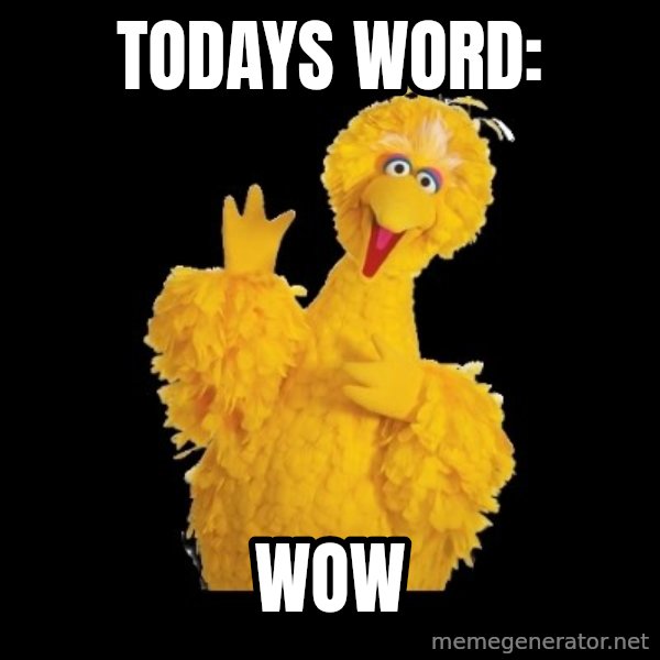 BIG BIRD meme meme: Todays word: / wow