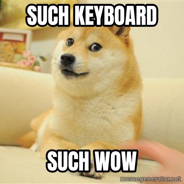 so doge meme: such keyboard / such wow