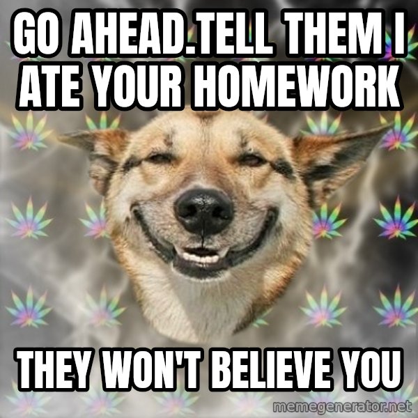 Stoner Dog meme: go ahead.tell them I ate your homework / they won't believe you