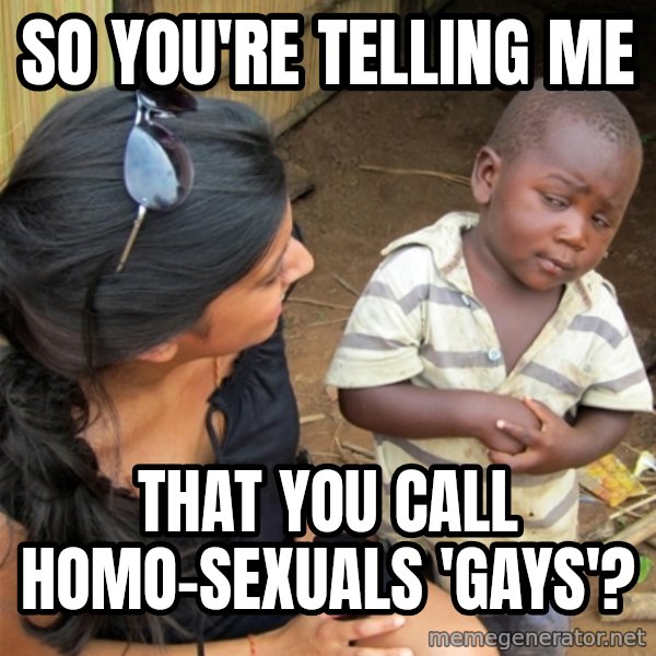 So You're Telling me meme: so you're telling me / that you call homo-sexuals 'gays'?