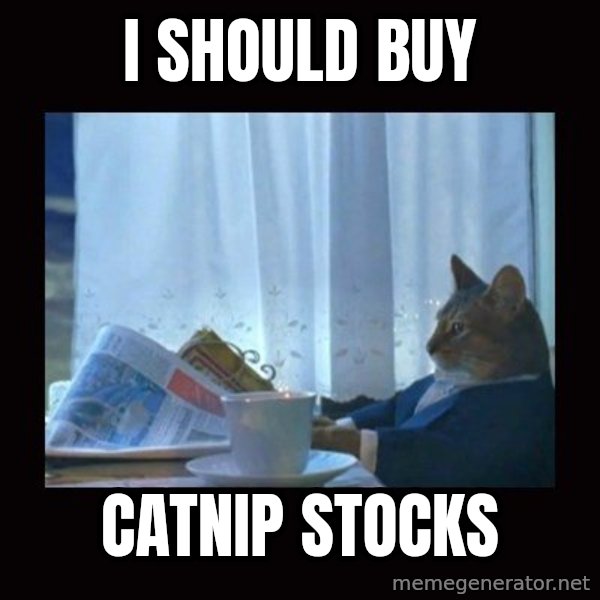 i should buy a boat cat meme: I should buy / catnip stocks