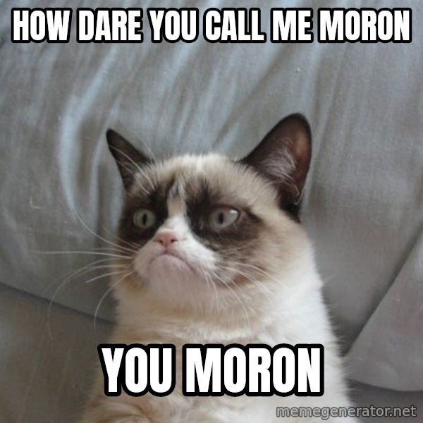 Grumpy cat good meme: how dare you call me moron / You moron