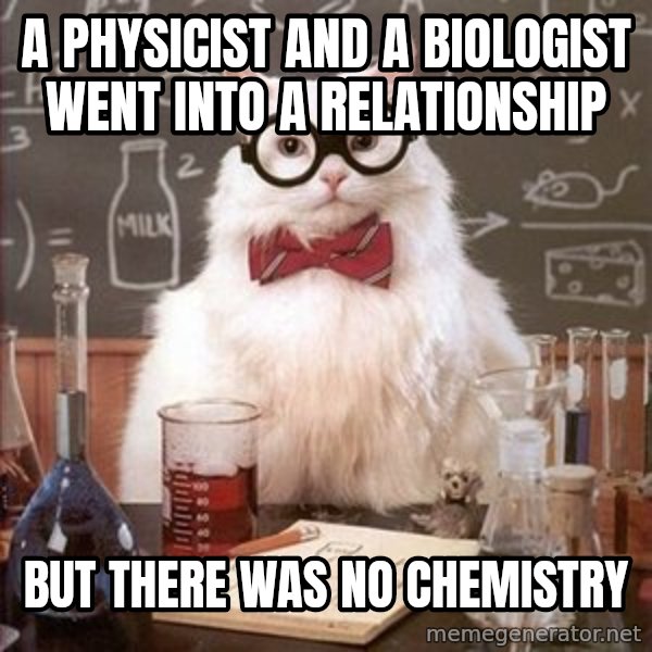 Chemistry Cat meme: A Physicist and a Biologist went into a relationship / But there was no Chemistry