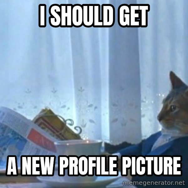 newspaper cat realization meme: I should get / a new profile picture