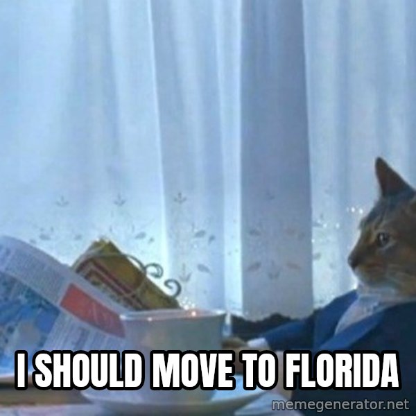 newspaper cat realization meme: i should move to florida