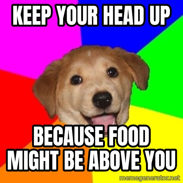 Advice Dog meme: keep your head up / because food might be above you