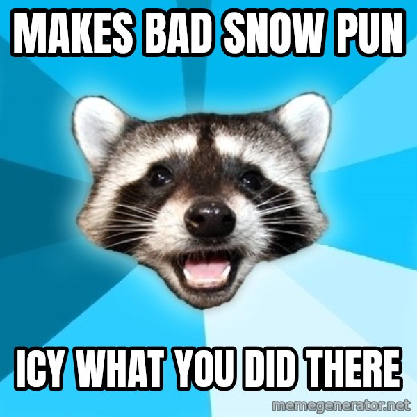 Lame Pun Coon meme: Makes Bad snow Pun / Icy what you did there