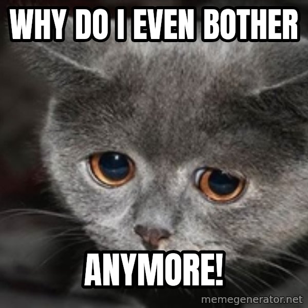 Sadcat meme: Why do I even bother / anymore!