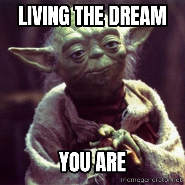Advice Yoda Gives meme: Living the dream / you are