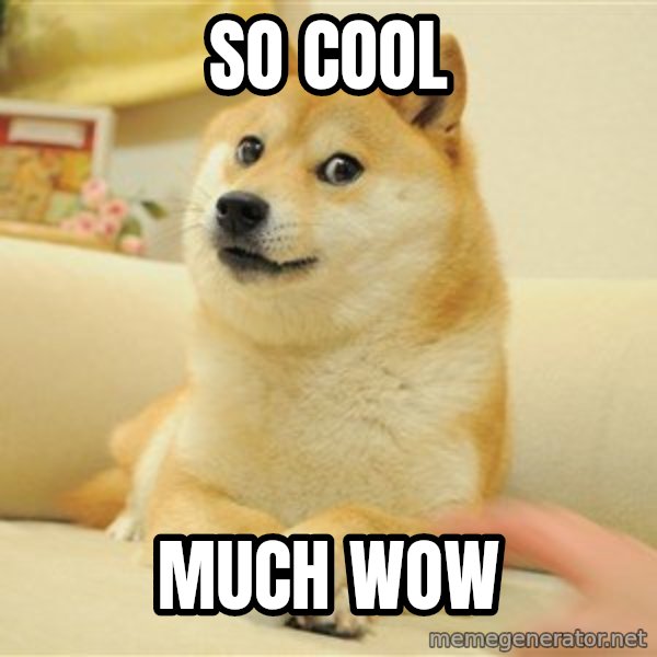 so doge meme: So cool / much wow
