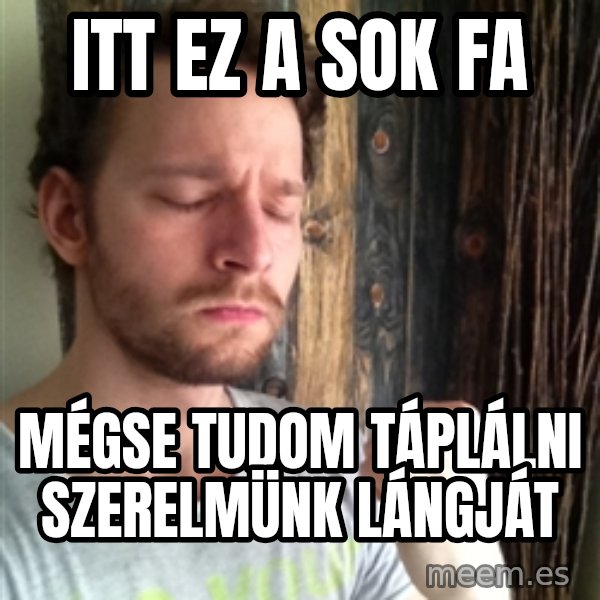 Api7 meme: itt ez a sok fa / mégse tudom táplálni szerelmünk lángját