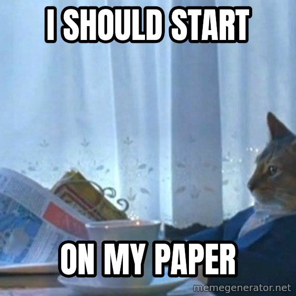 newspaper cat realization meme: I should start / on my paper