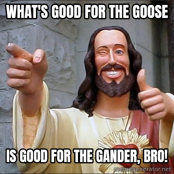 jesus says meme: What's good for the goose / IS GOOD for the gander, bro!