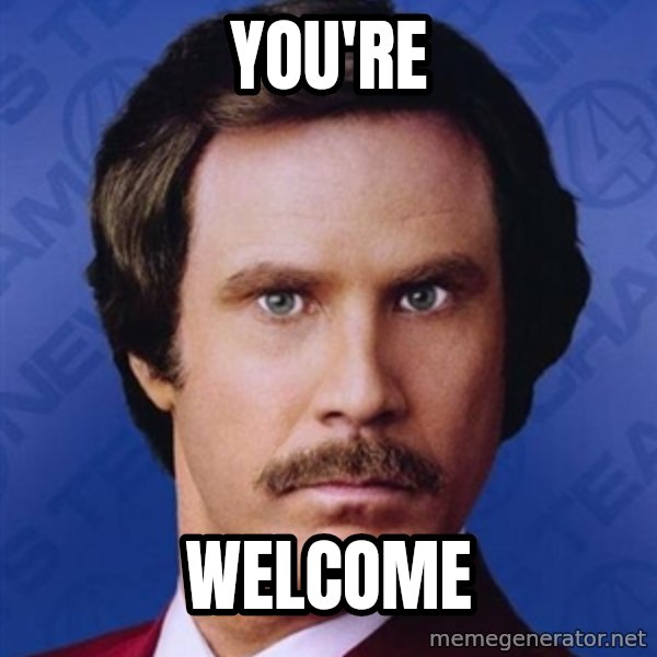 Ron Burgundy meme: You're / Welcome