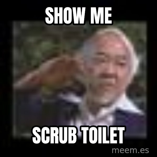 Mr Miyagi meme: Show me / Scrub toilet