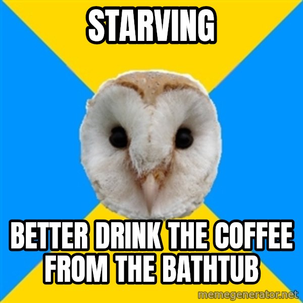 Bipolar Owl meme: starving / better drink the coffee from the bathtub