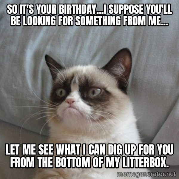 Grumpy cat good meme: So it's your birthday...I suppose you'll be looking for something from me... / Let me see what I can dig up for you from the bottom of my litterbox.