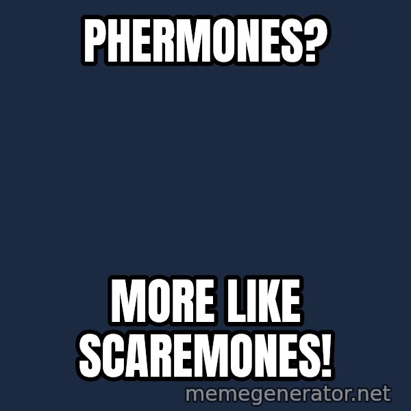 Disgusted Kristine Wiig meme: phermones? / more like scaremones!