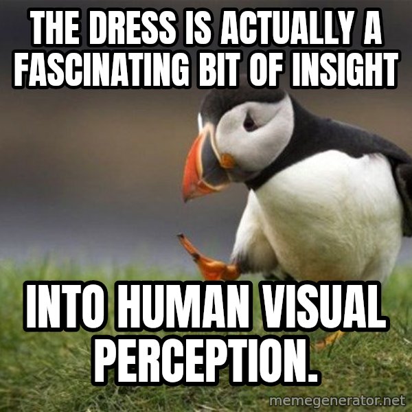Unpopular Opinion Puffin meme: the dress is actually a fascinating bit of insight / into human visual perception.
