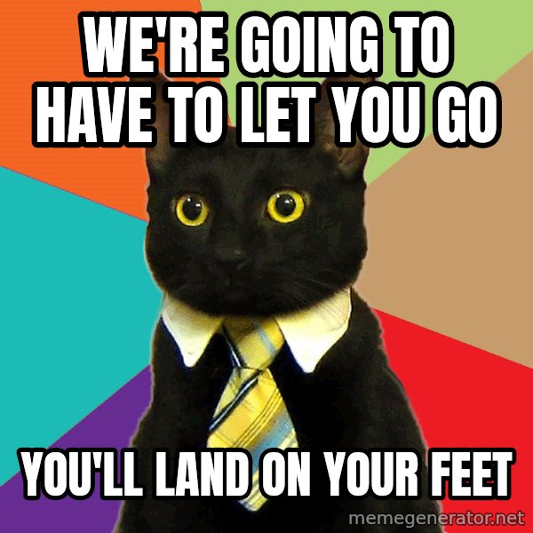 Business Cat meme: we're going to have to let you go / you'll land on your feet