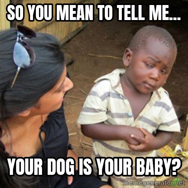 Skeptical 3rd World Kid meme: SO YOU MEAN TO TELL ME... / YOUR DOG IS YOUR BABY?