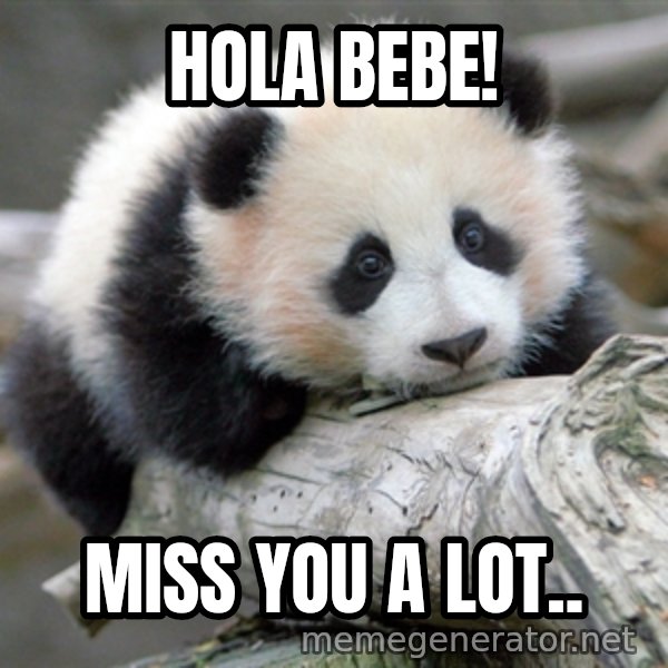 sad panda meme: Hola bebe! / miss you a lot..