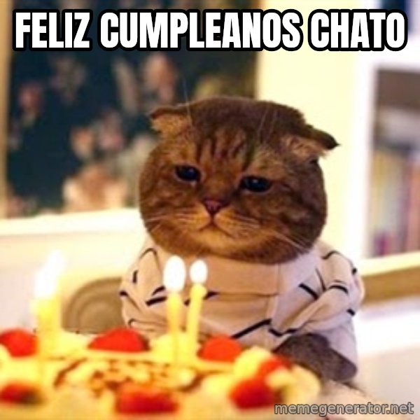 Birthday Cat meme: Feliz cumpleanos chato