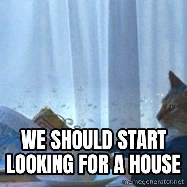 newspaper cat realization meme: we should start looking for a house
