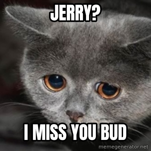 Sadcat meme: Jerry? / I miss you bud