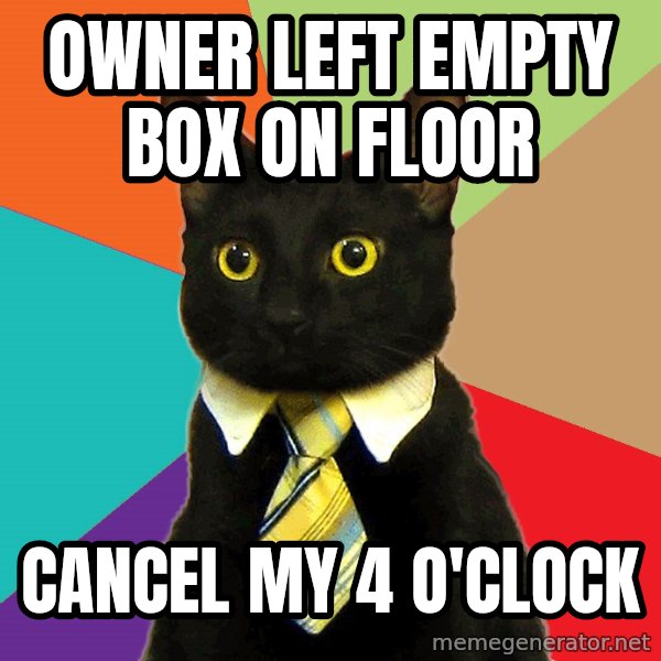 Business Cat meme: Owner left empty box on floor / Cancel my 4 o'clock