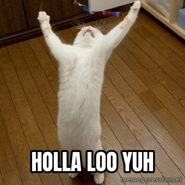 praise the lord cat meme: holla loo yuh
