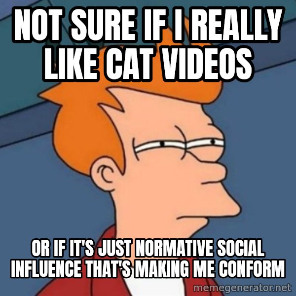 Not sure if troll meme: not sure if i really like cat videos / or if it's just normative social influence that's making me conform