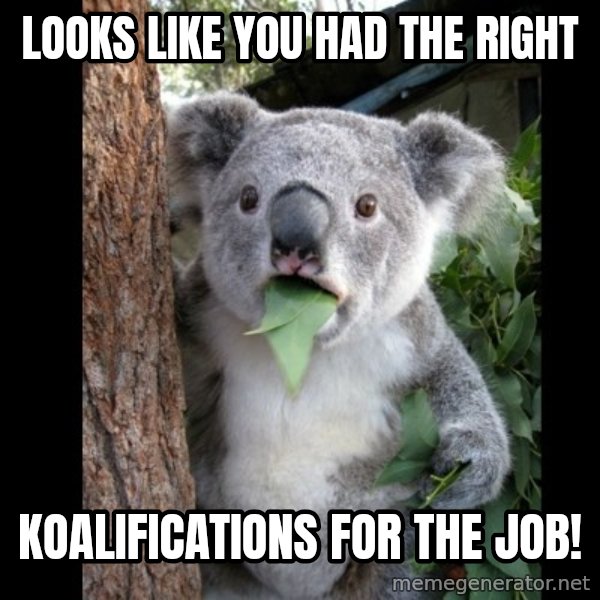 Koala can't believe it meme: Looks like you had the right / koalifications for the job!