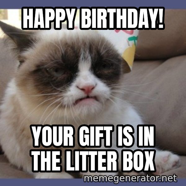 Birthday Grumpy Cat meme: HAPPY BIRTHDAY! / YOUR GIFT IS IN THE LITTER BOX