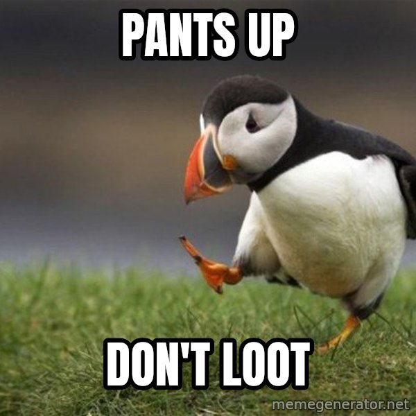 Unpopular Opinion Puffin meme: pants up / don't loot