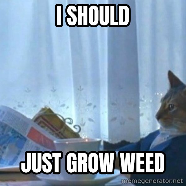 newspaper cat realization meme: I should / just grow weed