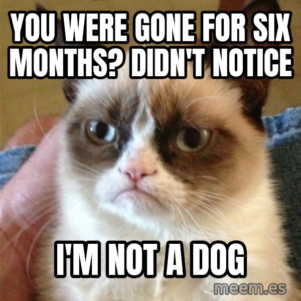 Grumpy Cat  meme: You were gone for six months? Didn't notice / I'm not a dog