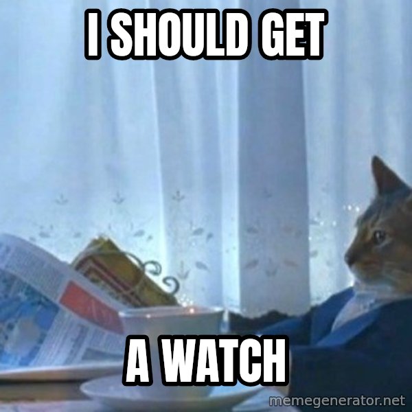 newspaper cat realization meme: I should get / a watch