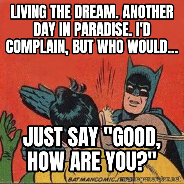 batman slap robin meme: Living the dream. Another day in paradise. I'd complain, but who would... / Just say "Good, how are you?"