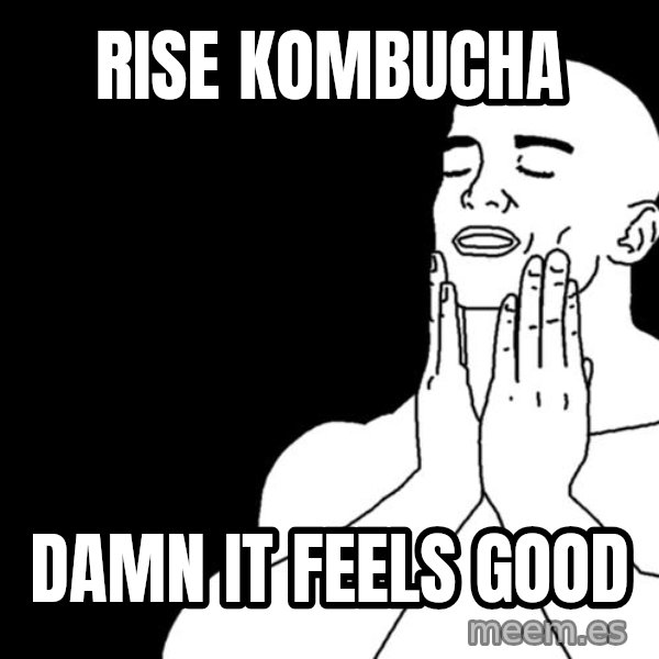 feels good meme: rise kombucha / damn it feels good