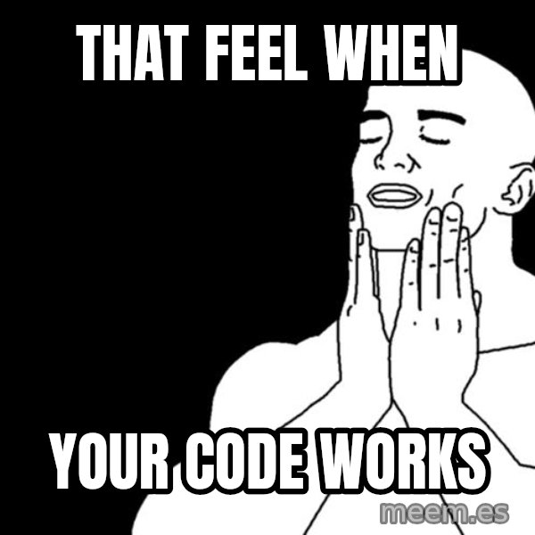 feels good meme: That feel when / Your code works
