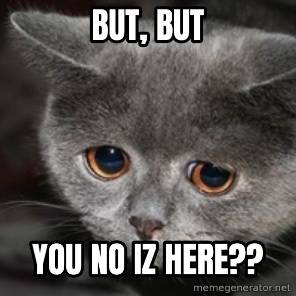 Sadcat meme: but, but / you no iz here??