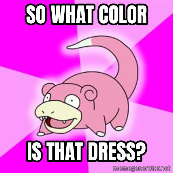 Slowpoke meme: So what color / is that dress?