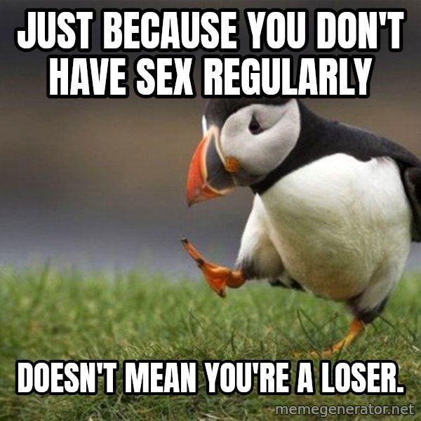 Unpopular Opinion Puffin meme: just because you don't have sex regularly / doesn't mean you're a loser.