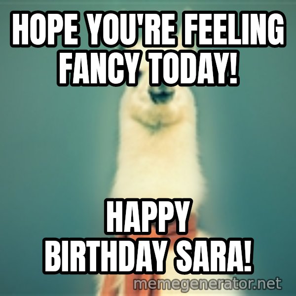 Pancakes llama meme: Hope you're feeling fancy today! / Happy birthday Sara!