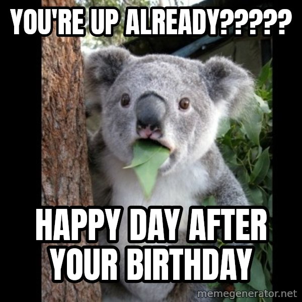 Koala can't believe it meme: you're up already????? / happy day after your birthday